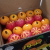 Fresh Naval Orange Citrus Fruit